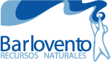 Barlovento